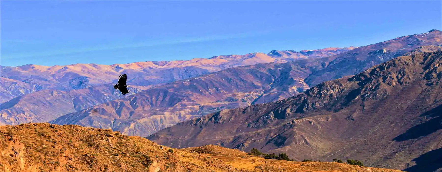 Tour colca