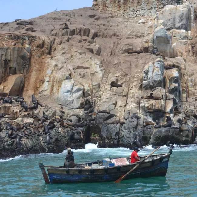 isla-palomino-650x650-1