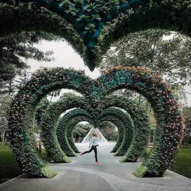 parque-de-las-aguas2-650x650-1