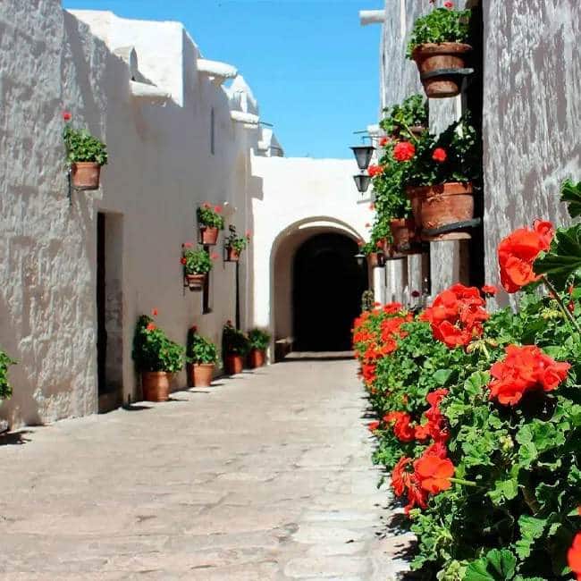 tours-campiña-650x650